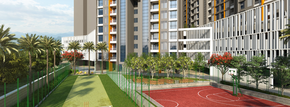 Ambaji Amenities